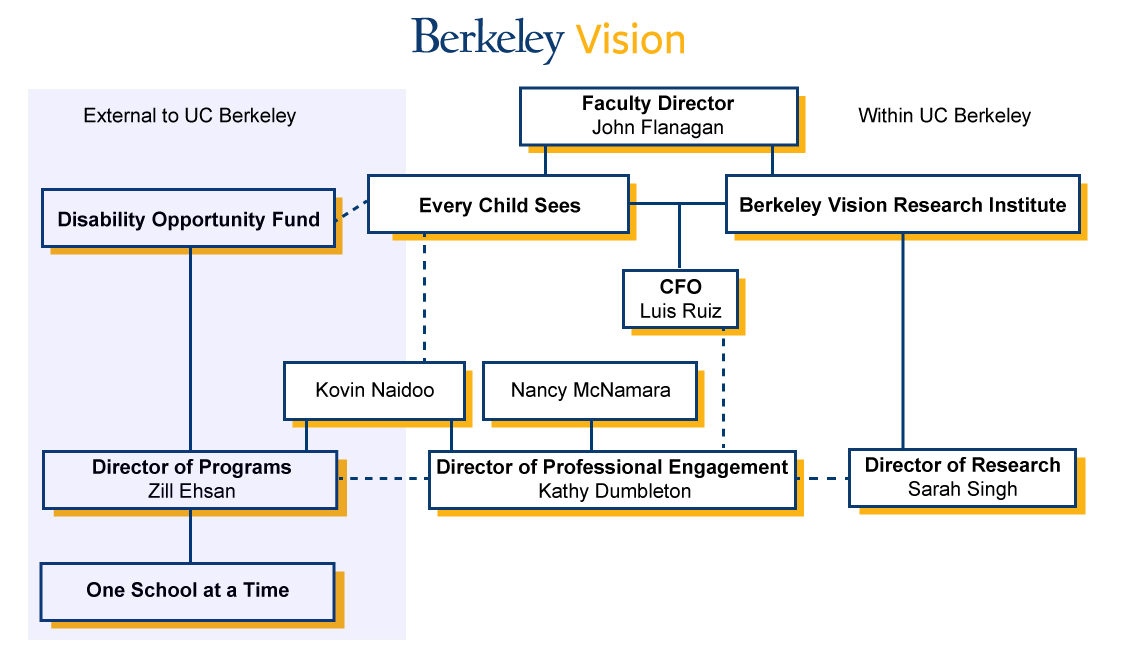 Berkeley Vision Founding Organisation Structure